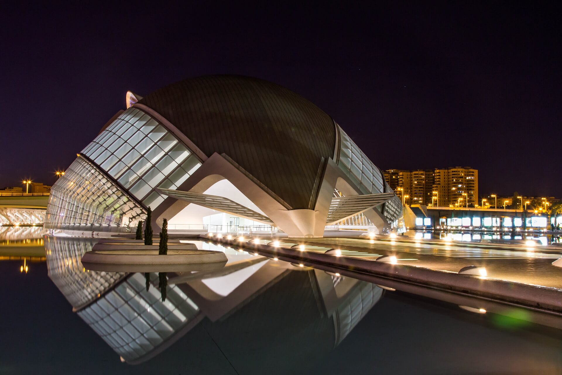 El Palau de les Arts Reina Sofia Valencia Opera House (Spain)