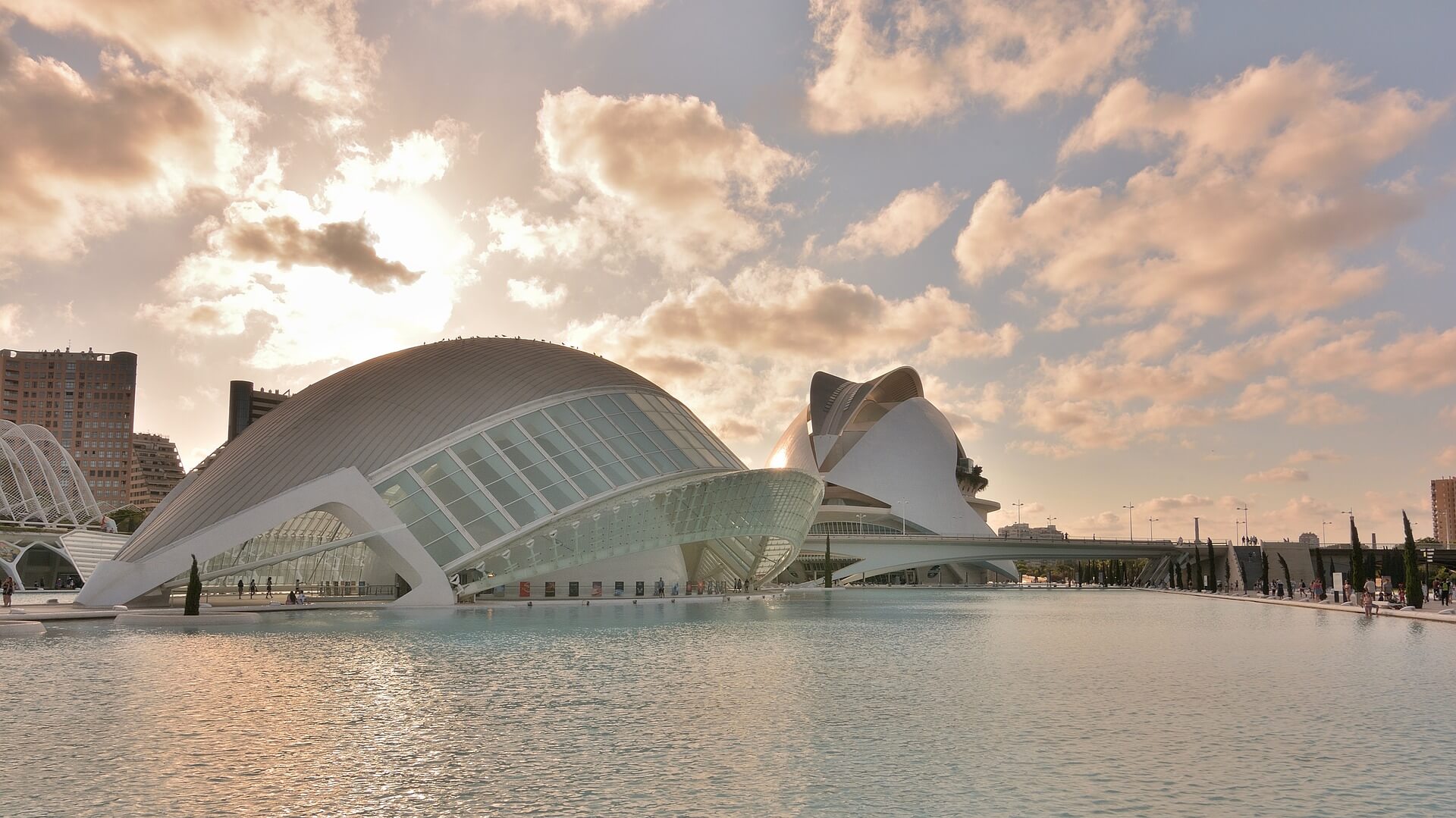 El Palau de les Arts Reina Sofia Valencia Opera House (Spain)