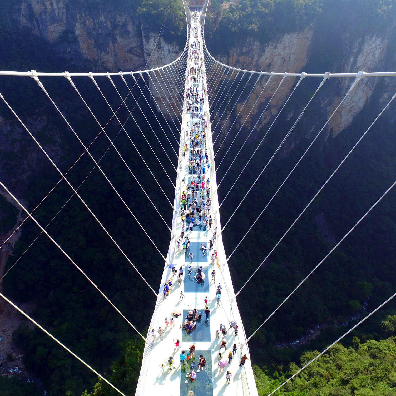The longest and highest glass bridge in the world was opened